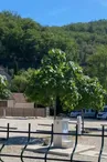 Capture d'écran 2026-06-08 110327