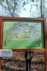 Base VTT Fargues