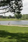 lac de la fôret