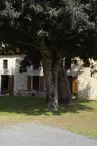 Le gîte "Ferme Giraud" à Thorigny-sur-le-Mignon