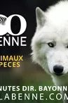 zoo-labenne-landes