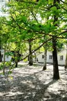 Hameau des Ecureuils_Vieux Boucau_ OTI Landes Atlantique Sud
