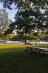 Pique nique plan d'eau des Forges Masseret