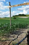 Périgord Inattendu - Labyrinthe de mais à Vendoire