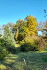 ARBERETUM PHOTO 2