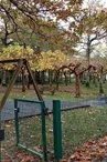 Larrelorejeux