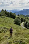 Entre crêtes et forêts, itinéraire pédestre facile à Issarbe