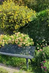 les remparts - Lescar - les bancs publics