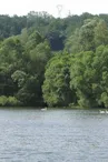 Salabert1