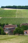 Grattegéline