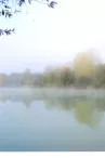 Miroir brumeux - Buridant Marine.jpg