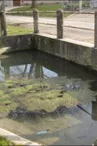 lavoir bourbade.jpg