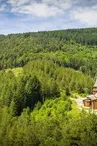 Toiture de l'église Russe