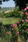 Forêt jardin du Landassou