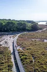 Le bois des Aresquiers