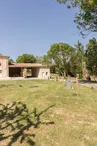 Pareine