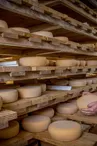 fromage--Ferme-de-Prouzic--Valentine-2
