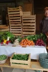 La ferme des mille Pas, Terrebasse