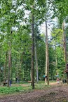 Sensation Nature - Accrobranche à Saints-Geosmes