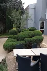 entrée olympe