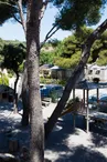 Camping Pascalounet