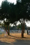 13T3000569_1_WEB.jpg