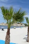 Plage de Massane