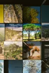 Ecomusee de la foret