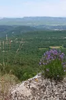 Massif de la Sainte Baume