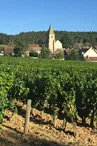 Fixin et ses vignobles