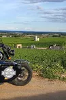 Côte de Nuits