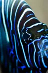 Aquarium Refuge de Limoges_1