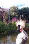 Jardin Zoologique Bellachon