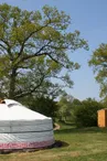 La Grande Savane - Saint-Paul-le-Gaultier - yourte extérieur